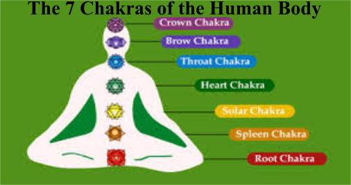 The seven chakras of the human body